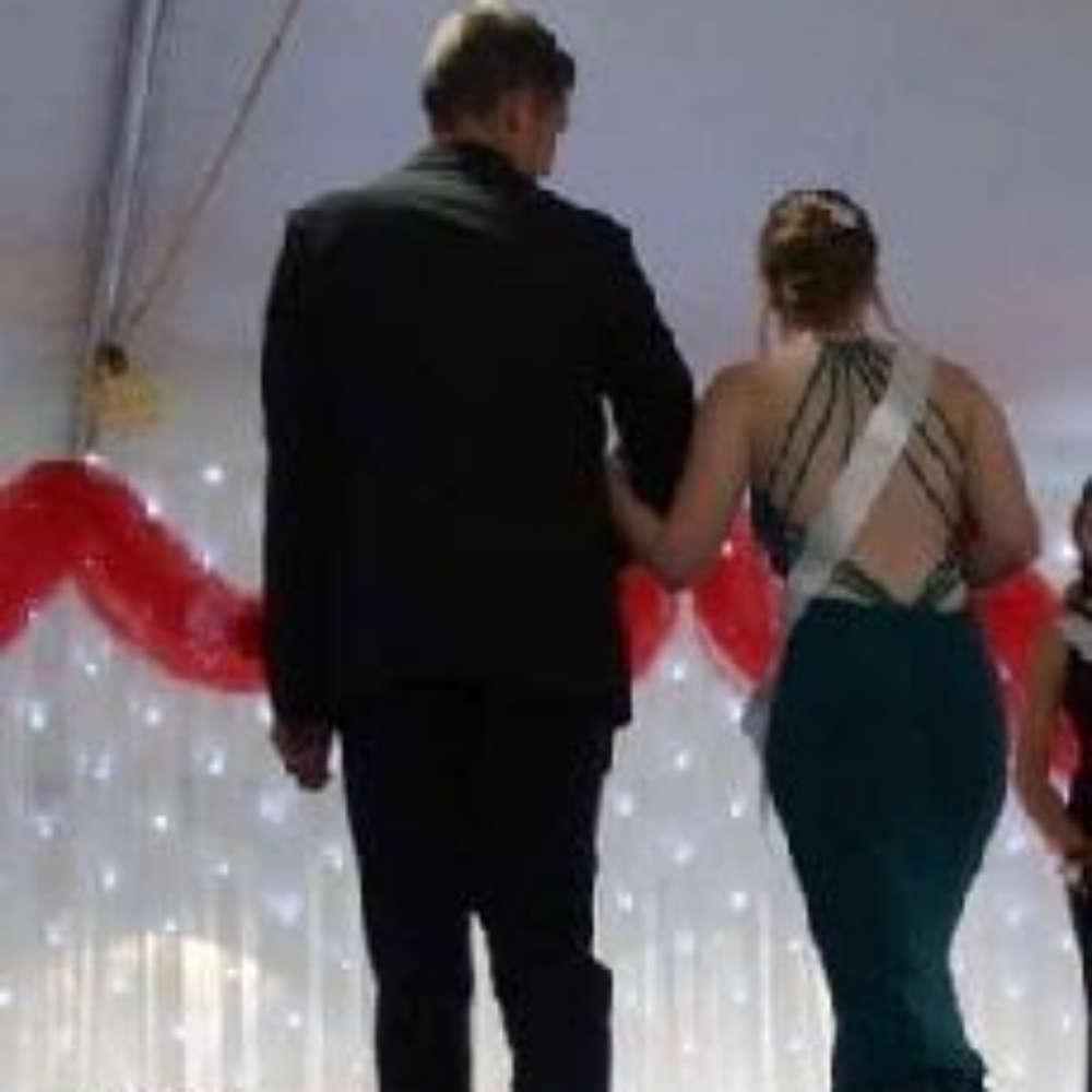 Dave & Johnny, Green Bustled Prom Dress